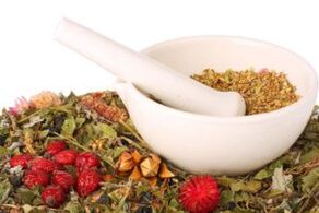 Dry plants for the treatment of osteochondrosis
